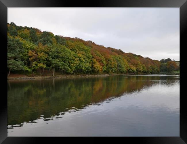 Autumn colours reflections Huddersfield Framed Print by Roy Hinchliffe