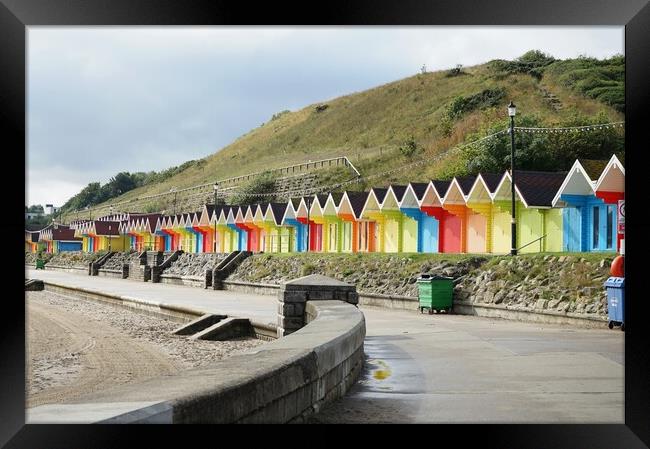  Scarborough Beach huts Framed Print by Roy Hinchliffe