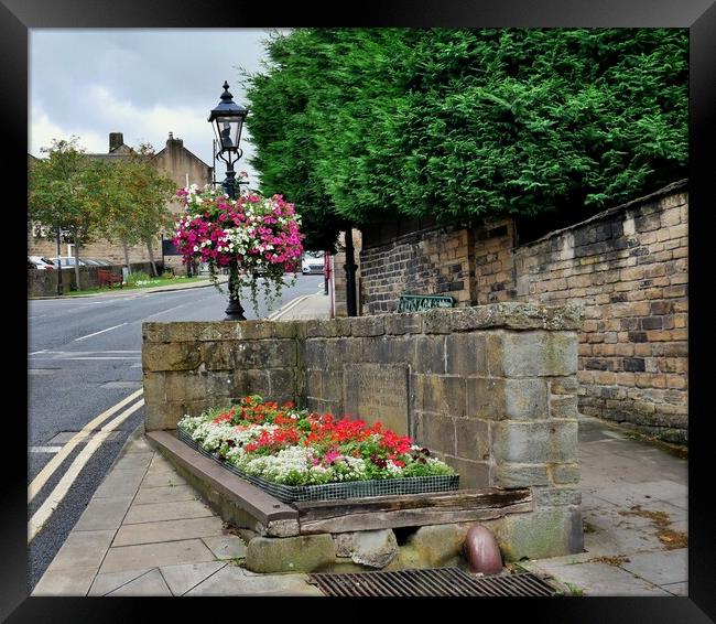 Old horse trough flowers in Honley  Holmfirth Framed Print by Roy Hinchliffe