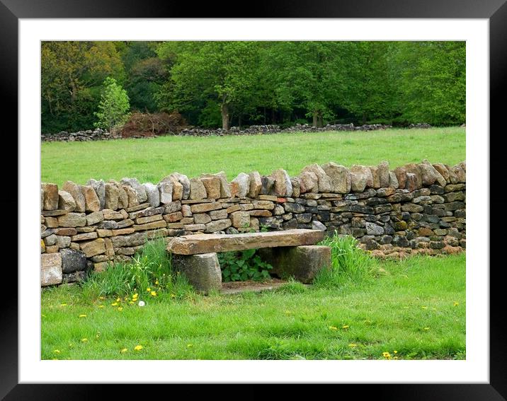 Stone bench Yorkshire Framed Mounted Print by Roy Hinchliffe