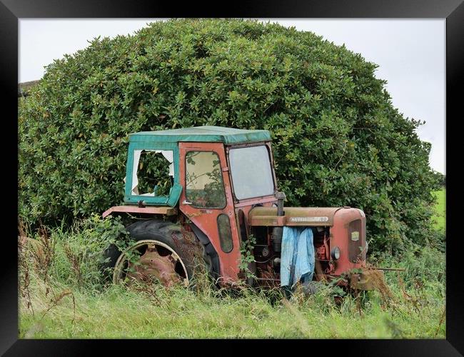 Abandoned red tractor in Yorkshire Framed Print by Roy Hinchliffe