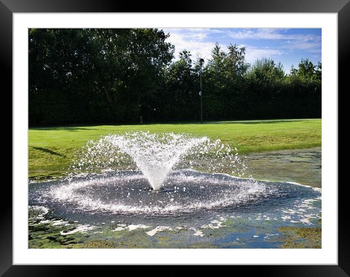 Parkland fountain Framed Mounted Print by Roy Hinchliffe