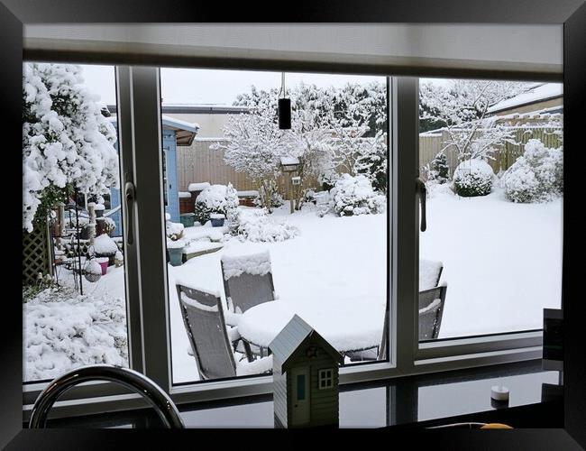 Snowy view from kitchen window in Yorkshire Framed Print by Roy Hinchliffe
