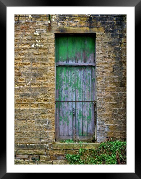 The old green door Framed Mounted Print by Roy Hinchliffe