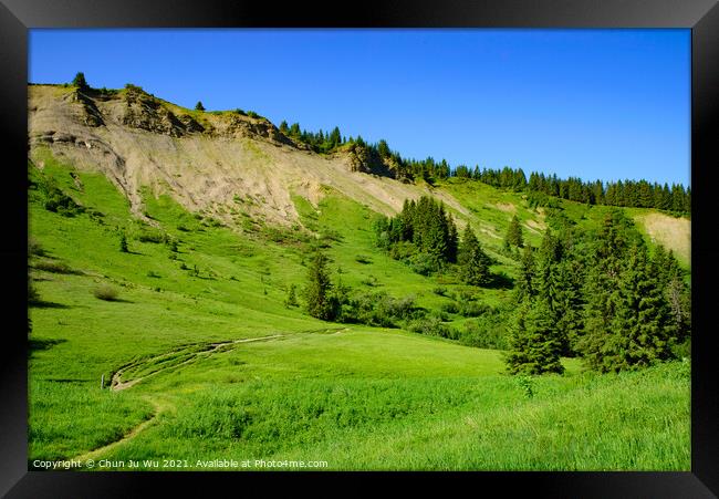 Landscape of mountains of Alps in summer with trees in Portes du Soleil,  France, Europe Framed Print by Chun Ju Wu
