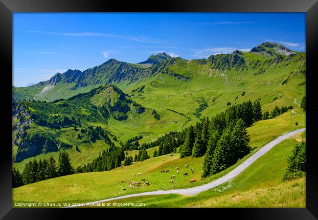 Landscape of mountains of Alps in summer with green meadow in Portes du Soleil, Switzerland, Europe Framed Print by Chun Ju Wu