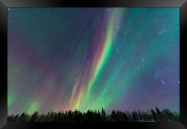 Aurora Borealis, Northern Lights, at Yellowknife, Northwest Territories, Canada Framed Print by Chun Ju Wu