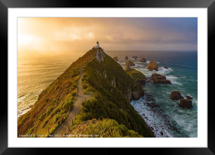 Nugget Point and lighthouse with sunrise at South Island, New Zealand Framed Mounted Print by Chun Ju Wu