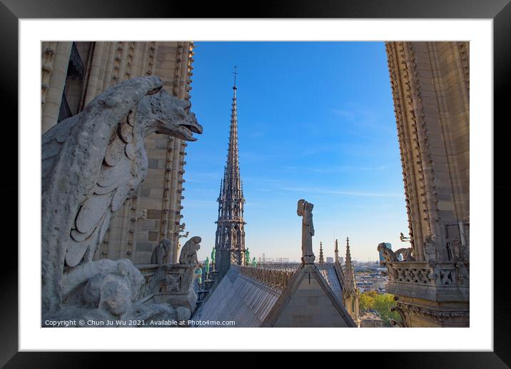 The Gargoyles at the top of Notre Dame Cathedral in Paris, France Framed Mounted Print by Chun Ju Wu