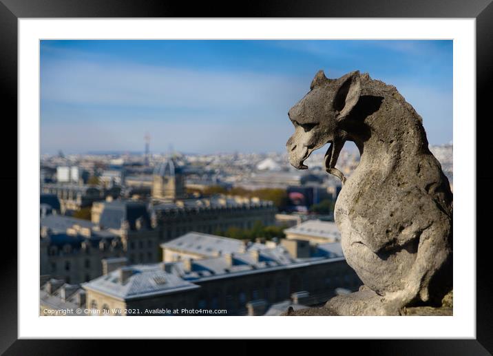 The Gargoyles of Notre Dame Cathedral overlooking Paris, France Framed Mounted Print by Chun Ju Wu