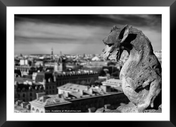 The Gargoyles of Notre Dame Cathedral overlooking Paris, France (black & white) Framed Mounted Print by Chun Ju Wu