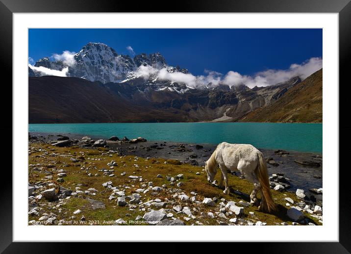 A white horse by Gokyo lake surrounded by snow mountains of Himalayas in Nepal Framed Mounted Print by Chun Ju Wu