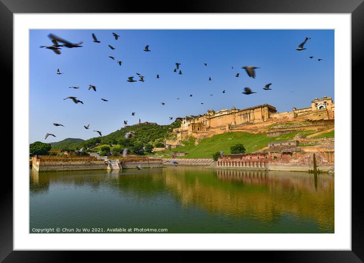 A flock of birds flying in front of Amer Fort in Jaipur, India Framed Mounted Print by Chun Ju Wu