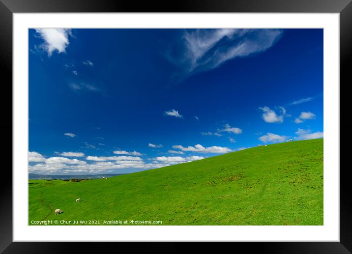 Green hills with sheep and blue sky in New Zealand Framed Mounted Print by Chun Ju Wu