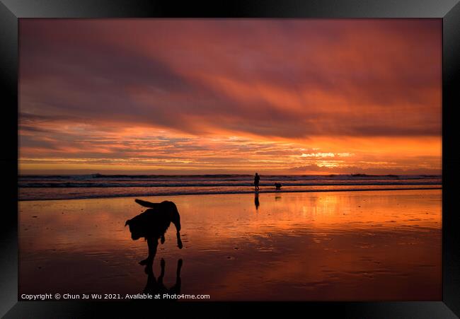 Muriwai Beach at sunset time with a dog and colorful clouds, New Zealand Framed Print by Chun Ju Wu