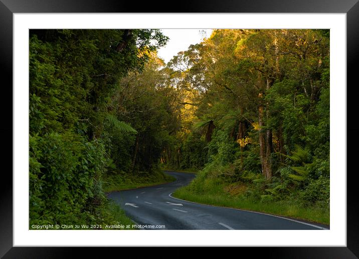 Winding road surrounded by trees Framed Mounted Print by Chun Ju Wu
