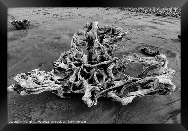 A piece of driftwood on beach (black and white) Framed Print by Chun Ju Wu