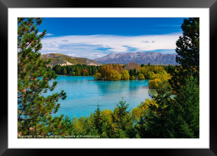 Landscape of autumn trees and lake in South Island, New Zealand Framed Mounted Print by Chun Ju Wu
