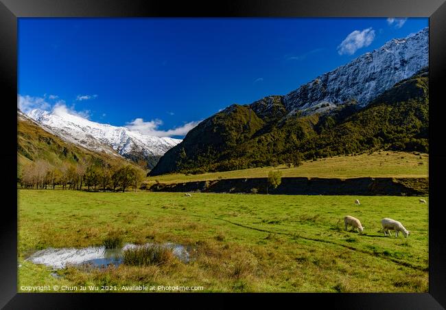 Mount Aspiring National Park in South Island, New Zealand Framed Print by Chun Ju Wu