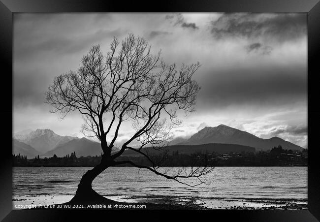 Wanaka tree and Lake Wanaka in New Zealand (black and white) Framed Print by Chun Ju Wu