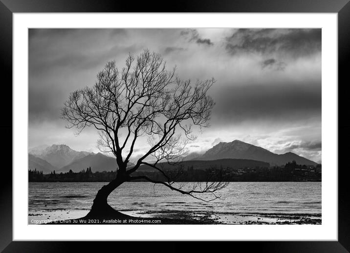 Wanaka tree and Lake Wanaka in New Zealand (black and white) Framed Mounted Print by Chun Ju Wu