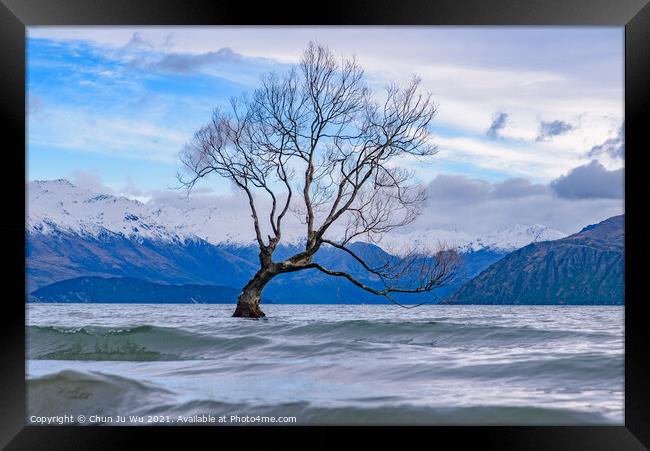 Wanaka tree and Lake Wanaka in winter, New Zealand Framed Print by Chun Ju Wu