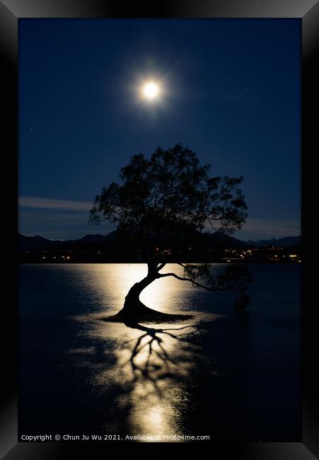 Night view of Wanaka tree and Lake Wanaka in moonlight, New Zealand Framed Print by Chun Ju Wu
