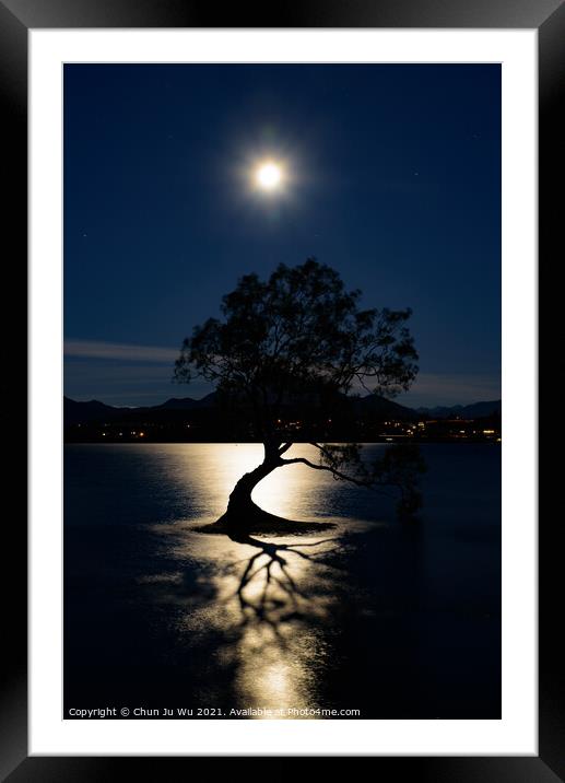 Night view of Wanaka tree and Lake Wanaka in moonlight, New Zealand Framed Mounted Print by Chun Ju Wu