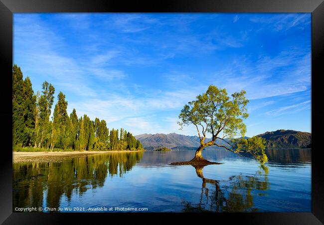 Wanaka tree and reflection on Lake Wanaka in South Island, New Zealand Framed Print by Chun Ju Wu