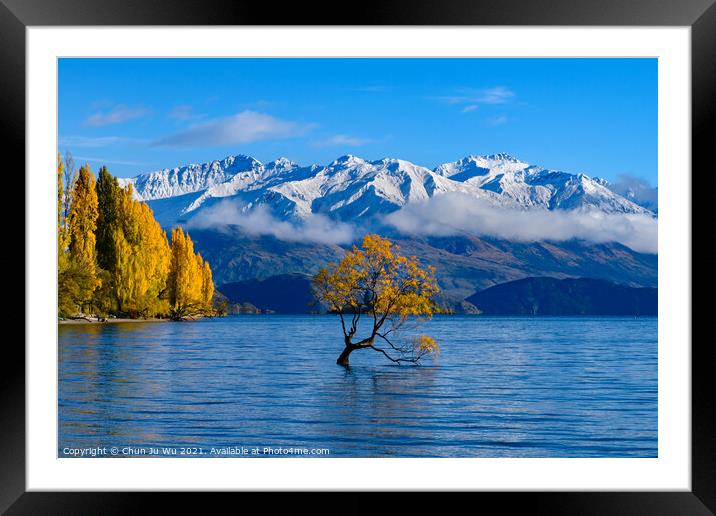 Wanaka tree and Lake Wanaka in autumn, New Zealand Framed Mounted Print by Chun Ju Wu
