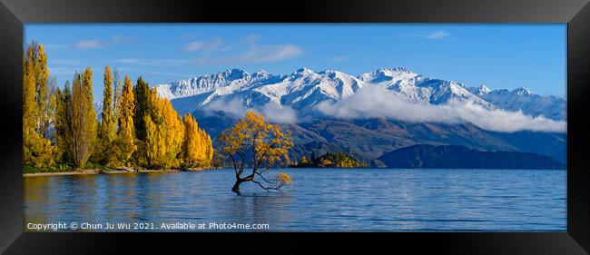 Panorama of Wanaka tree and Lake Wanaka in autumn, New Zealand Framed Print by Chun Ju Wu