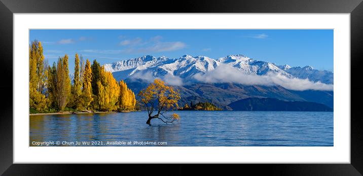 Panorama of Wanaka tree and Lake Wanaka in autumn, New Zealand Framed Mounted Print by Chun Ju Wu
