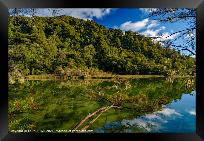 Reflection of trees on the water, Abel Tasman National Park, New Zealand Framed Print by Chun Ju Wu