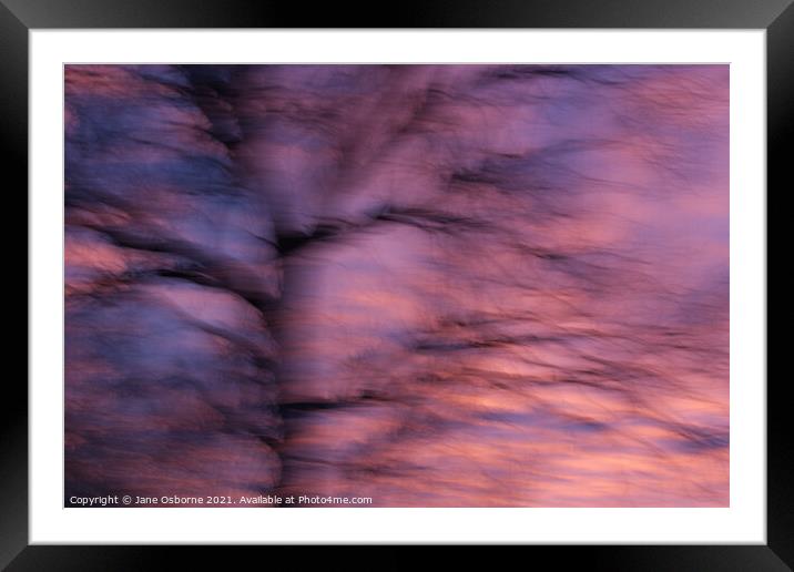 Abstract Sunset and Tree Framed Mounted Print by Jane Osborne