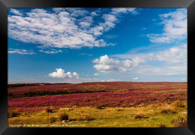 Yorkshire Heather Framed Print by Nic Croad