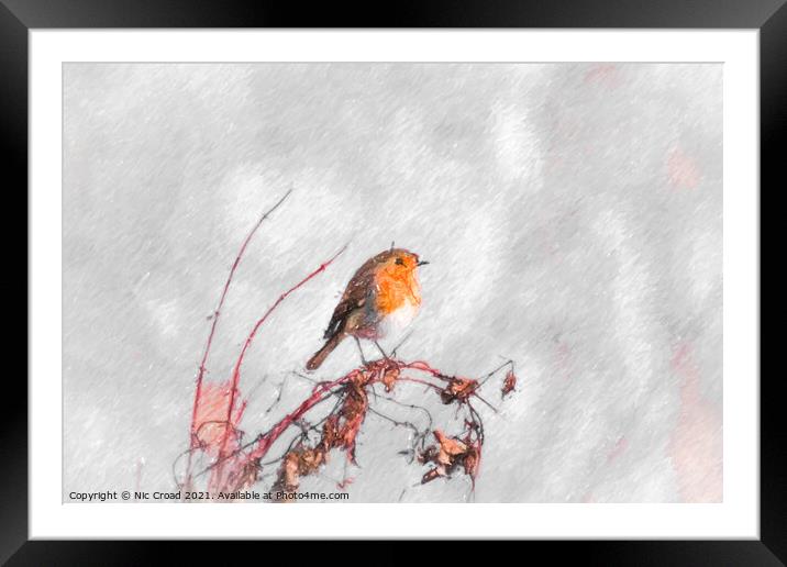 Digital Sketch of a Robin Framed Mounted Print by Nic Croad