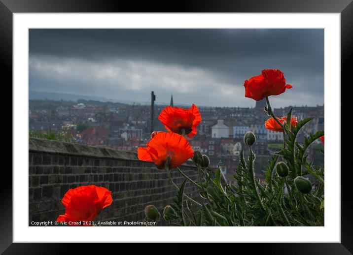 Poppies in Whitby Framed Mounted Print by Nic Croad