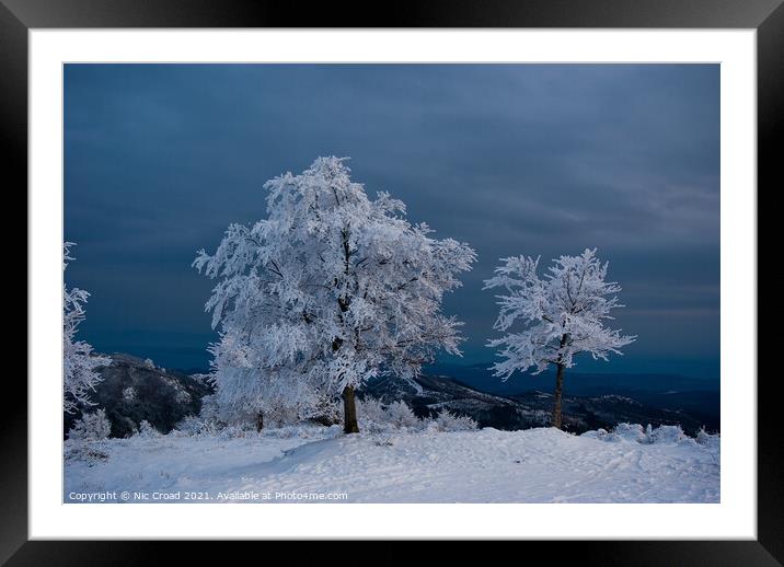 Tree covered in snow Framed Mounted Print by Nic Croad