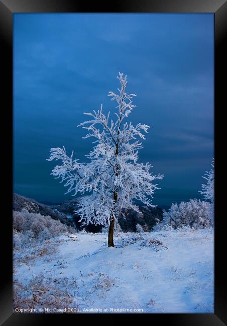 A tree in the snow Framed Print by Nic Croad