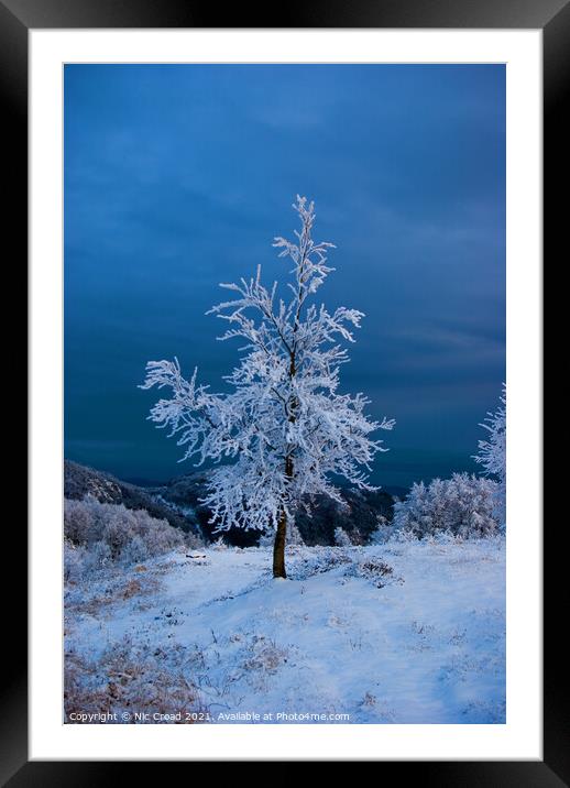 A tree in the snow Framed Mounted Print by Nic Croad