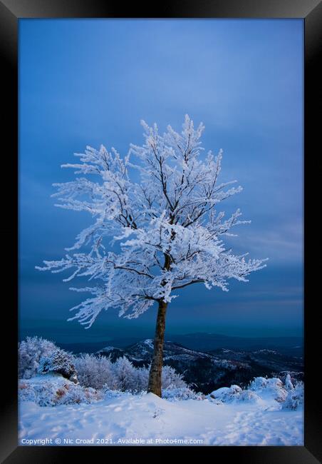 A tree in the snow Framed Print by Nic Croad