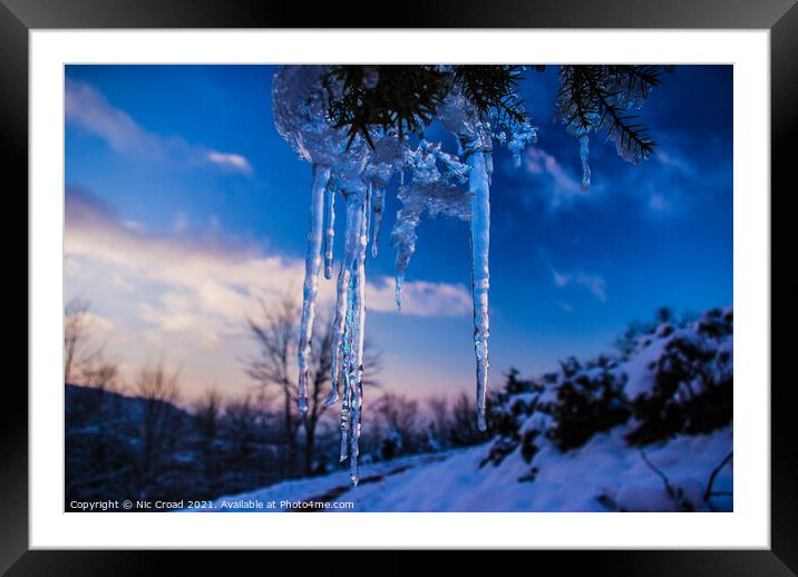 Icicle hanging from a tree Framed Mounted Print by Nic Croad