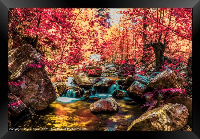 Woodland River Infrared Framed Print by Nic Croad