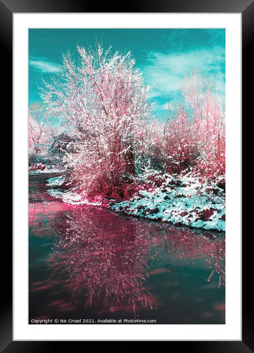 Snow covered tree reflected in water Framed Mounted Print by Nic Croad