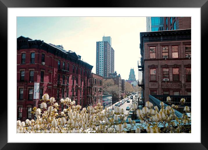 From the High Line Framed Mounted Print by Simon Peake