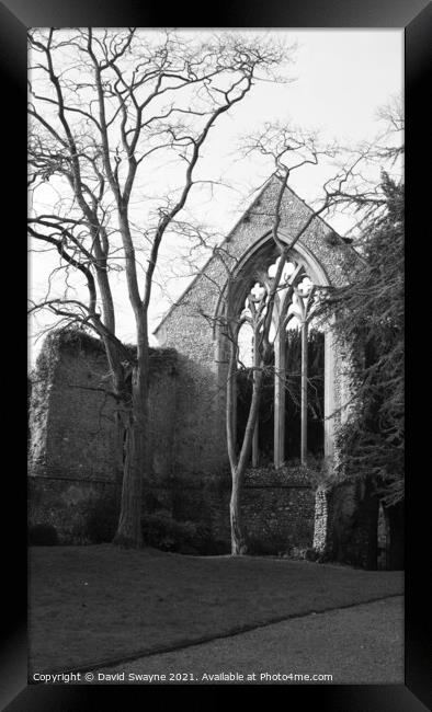 Walsingham Abbey Ruins Framed Print by David Swayne