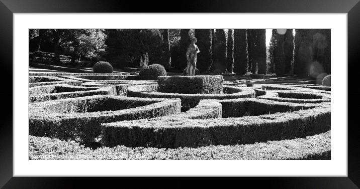 Formal Italian Garden Framed Mounted Print by David Swayne
