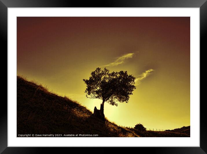 Mountain Tree Silhouette. Framed Mounted Print by Dave Harnetty