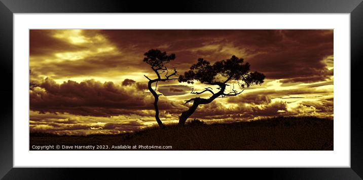Tree Dance 3 Framed Mounted Print by Dave Harnetty