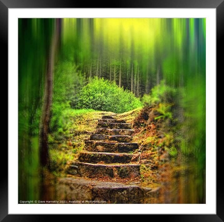 A Path to the Forest Framed Mounted Print by Dave Harnetty